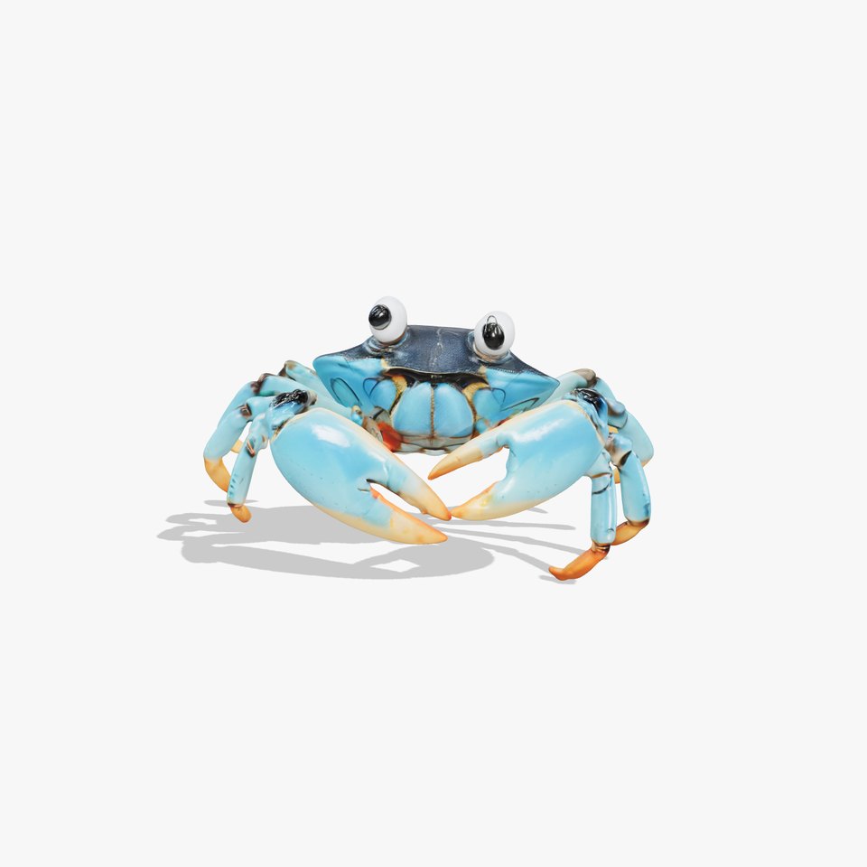 Blue Cartoon Crab Character D Model Pack